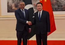 Pakistan to set up special protection unit in Islamabad for Chinese nationals: Naqvi