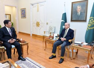 PM reaffirms commitment to strengthen longstanding Pakistan–Myanmar ties