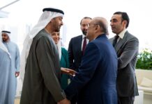 President Zardari meets UAE counterpart, pledges to deepen bilateral strategic, economic ties