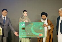 No tolerance for chaos or discord in name of religion: CM Maryam