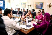 CM Maryam vows to eliminate dangling, unsafe electricity wires to prevent accidents