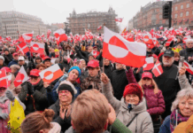 Greenland galvanises Europe to confront new US reality