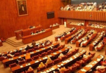 Lawmakers slam Nepra over Rs2.2 trillion capacity charges, load-shedding crisis