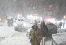 Swift relief operations underway as heavy snowfall paralyses northern areas, kills nine in Chitral