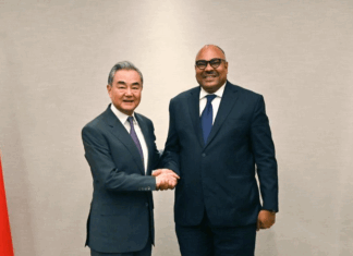 Chinese FM Wang Yi puts forward proposals to further deepen China-Africa friendship