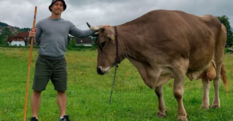 Austrian cow’s clever trick sparks rethink of animal intelligence