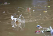 Contaminated water kills 9, hospitalises 200 in India’s Indore