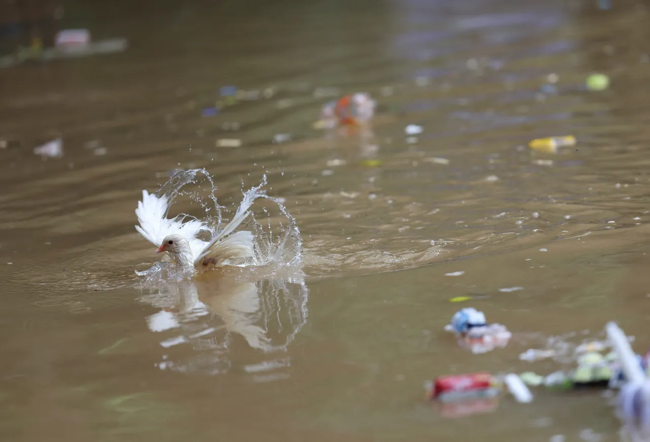 Contaminated water kills 9, hospitalises 200 in India’s Indore