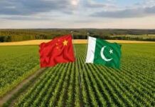 Pakistan’s agri-food exports to China surge as meat shipments post triple-digit growth