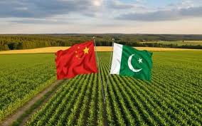 Pakistan’s agri-food exports to China surge as meat shipments post triple-digit growth