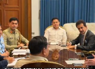 Indonesia seeks to tap PAF training, aerospace edge as air chief deepens defence ties