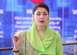 CM Maryam assures foolproof safety as Basant returns to Lahore after 25 years