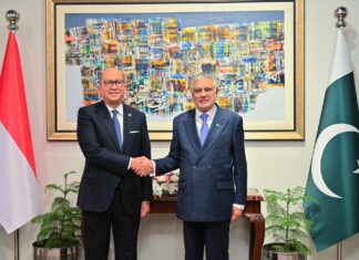 Dar, Indonesian minister reaffirm trade, investment as core of bilateral ties