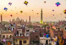 Economics of Basant