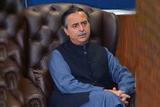 Maritime heritage conservation key to education, blue economy growth: Junaid Anwar Ch