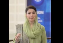 Punjab CM urges public to ensure safety during Basant celebrations