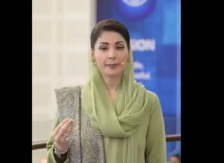 Punjab CM urges public to ensure safety during Basant celebrations