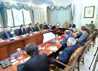 Pakistan, Türkiye eye major agri-tech push to deepen economic partnership