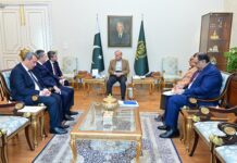 PM, Azerbaijan envoy discuss $2b investment, stronger ties