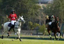 FG Polo defeat Team Balochistan 8-5 in Diamond Paints Polo Cup 2026