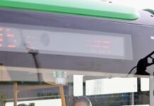 Citizens deserve access to healthcare, education and transport as a right, not charity: CM Maryam