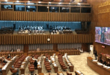 Senate resolution condemns wave of terrorist violence in Balochistan, calls for probe