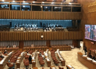 Senate resolution condemns wave of terrorist violence in Balochistan, calls for probe