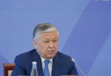 President Mirziyoyev’s Pakistan visit set new chapter in bilateral history, paved way for strategic, economic partnership: Uzbek deputy FM