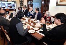 Sindh cabinet approves digital property registration for overseas Pakistanis, expands forests and market projects