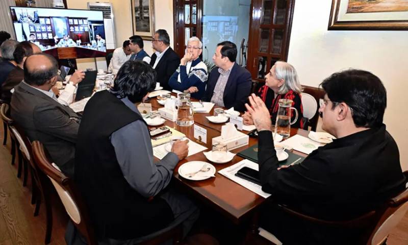 Sindh cabinet approves digital property registration for overseas Pakistanis, expands forests and market projects